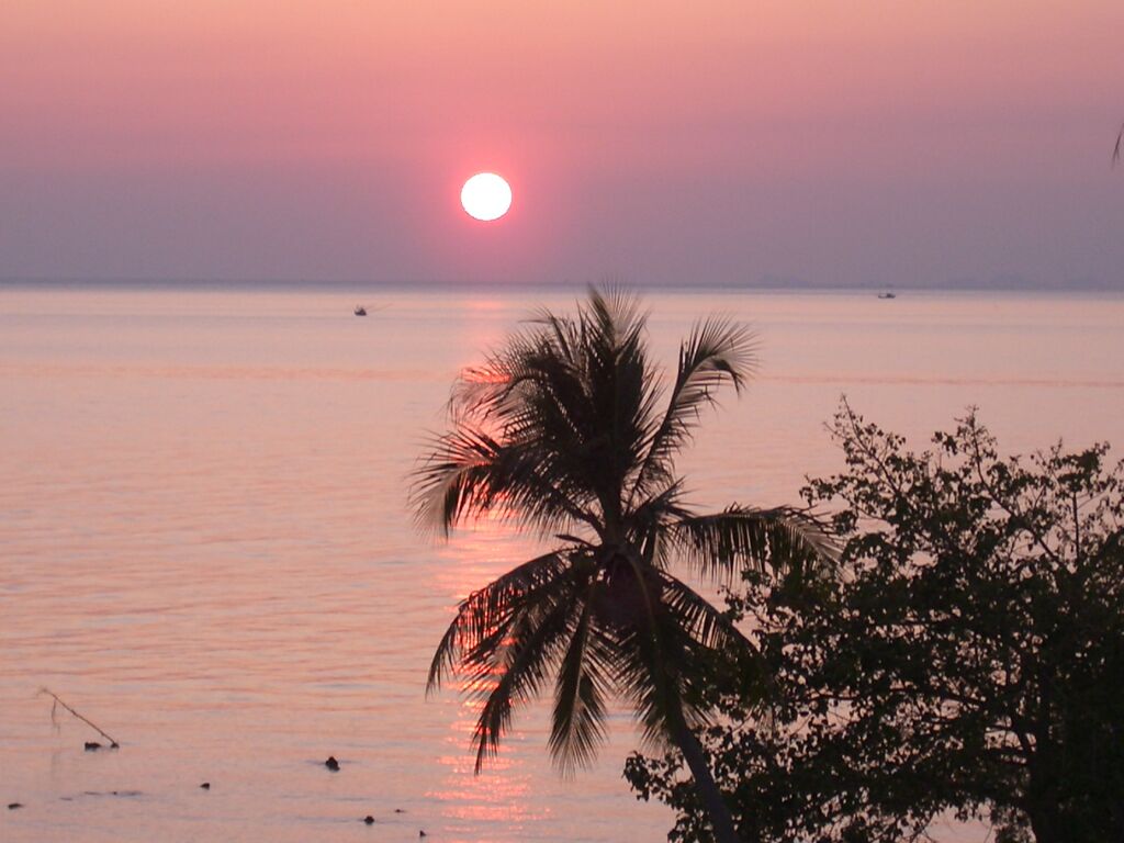 Click to See Next Image